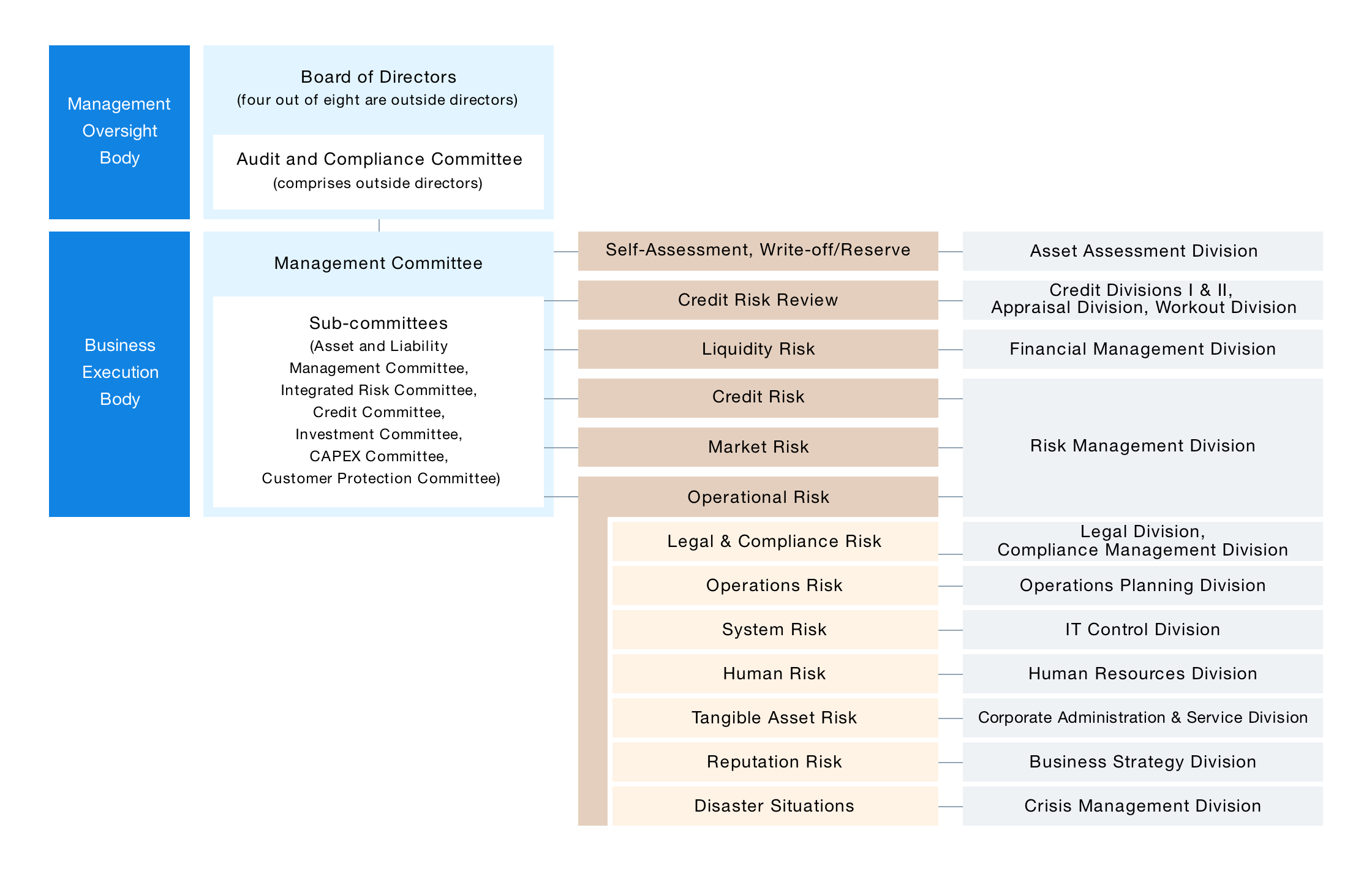 an image about Risk Governance Structure