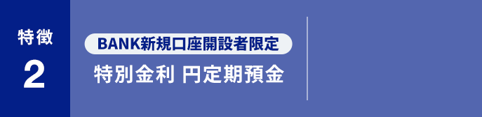 特別金利円定期預金