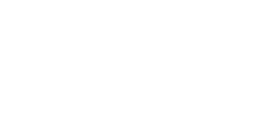 ディメンショナルの資産についての画像