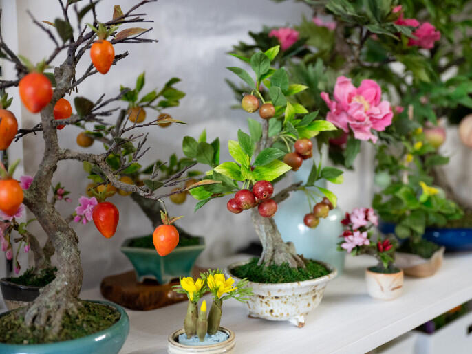 bonsai_4.jpg