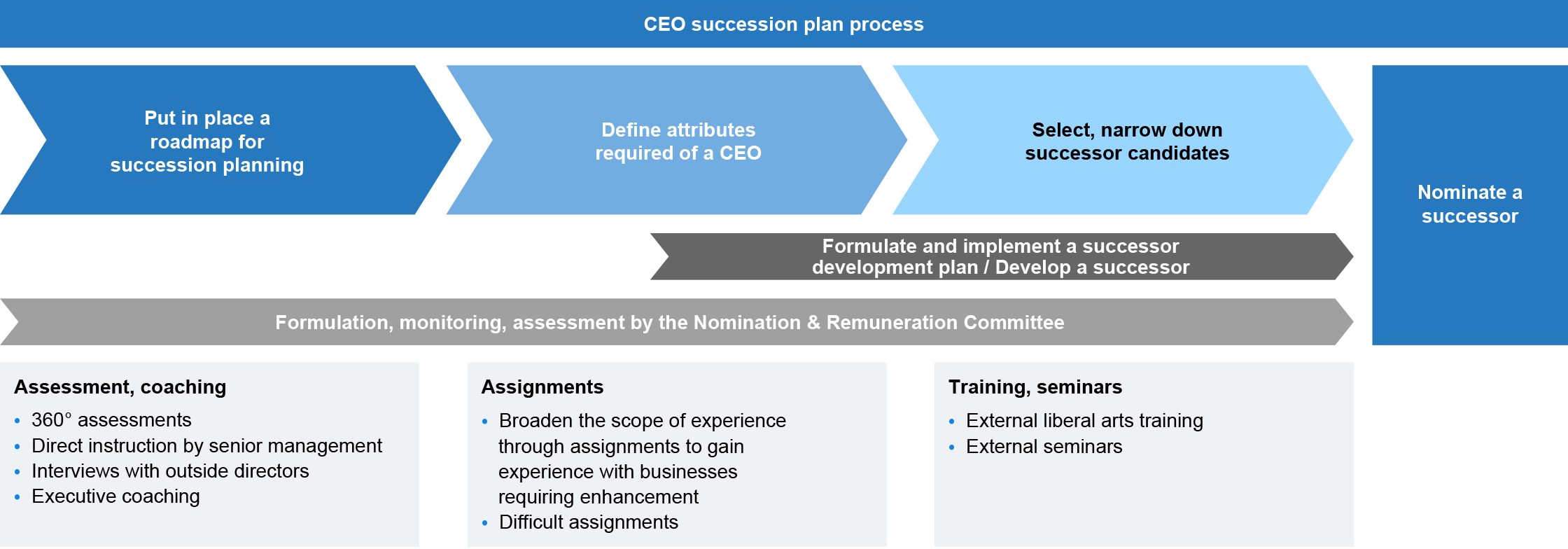CEO succession plan process