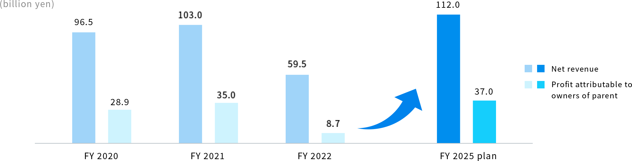 Target earnings (net revenue and profit attributable to owners of parent)