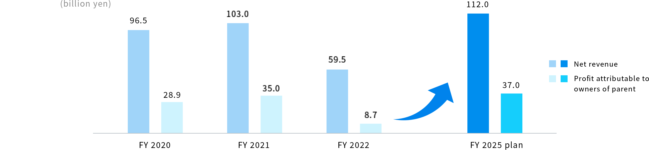 Target earnings (net revenue and profit attributable to owners of parent)