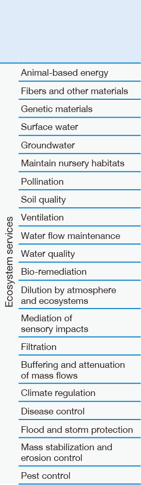 Aozora’s Structure for Implementing Environment/Society-focused Investments and Loans