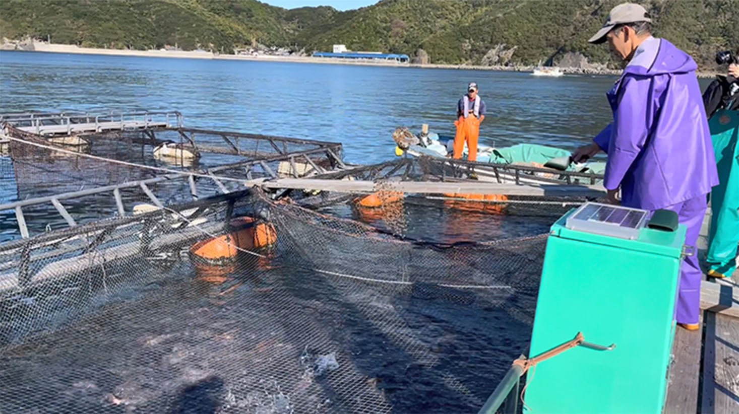 an image about Fish Farmers Today